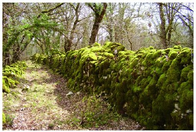 chemin fortifié.jpg